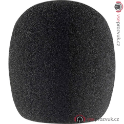 Sennheiser MZW8000