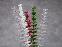 Eukalyptus červený - křišťálový, 81 cm, 12 ks