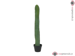 Mexický kaktus zelený, 97 cm