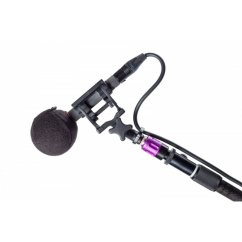 Rycote Baseball (24/25)