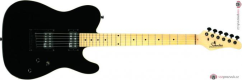 SCHECTER PT, Maple Fingerboard - Black