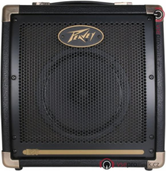 PEAVEY Ecoustic E20