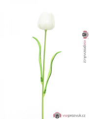 Tulipán bílý – křišťálový, 61 cm, 12 ks