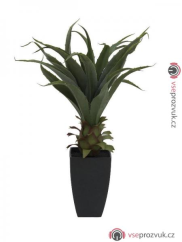 Agave kaktus s květináčem, 75 cm
