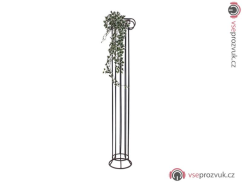 Holandský divoký břečťan trs velký, 100 cm