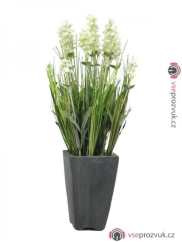 Levandule v květináči krémová, 45 cm