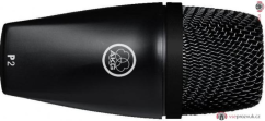 AKG Perception Live P2