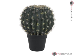 Kaktus v květináči, 34 cm