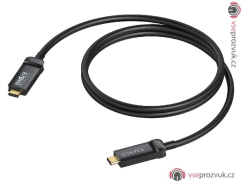 ProCab CLD632A/15 - USB-C - USB-C optický kabel - 15m