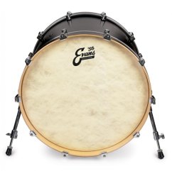 EVANS ’56 Calftone 20” Bass