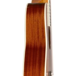 James Neligan BES-A DCB, akustická kytara