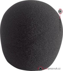 AKG W880