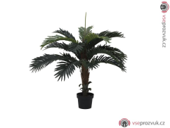 Kokosová palma, 90 cm
