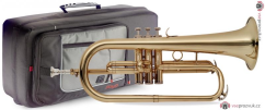 Stagg WS-FH215S, B křídlovka perinetová
