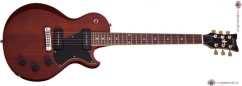 SCHECTER Solo-II Special Walnut Pearl