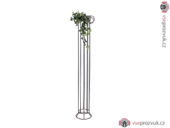 Pothos trs velký, 100 cm