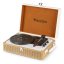 Audizio RP119 Record player gold